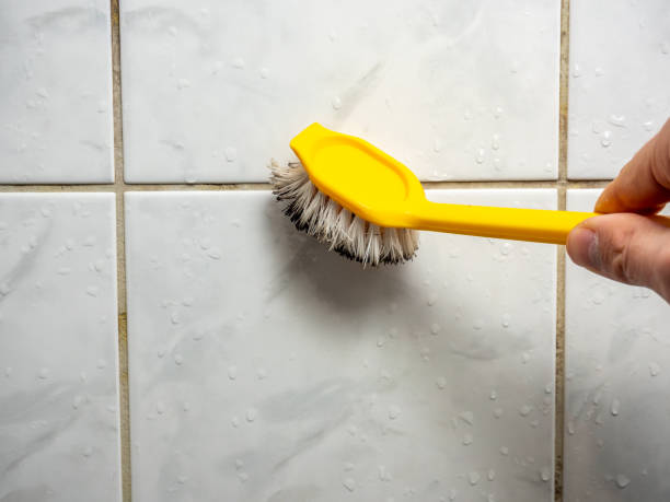 Jones Valley, CA Mold Removal Company