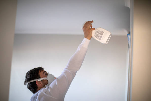Best Local Mold Removal Service  in Jones Valley, CA
