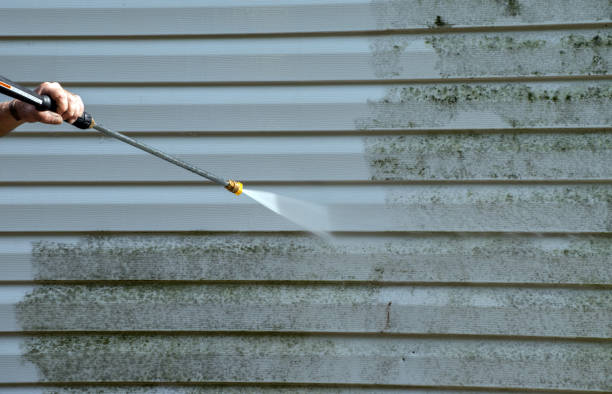 Best Commercial Mold Removal  in Jones Valley, CA