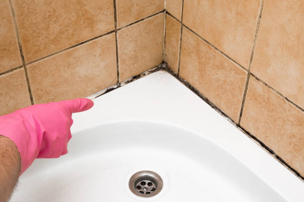 Best Home Mold Removal  in Jones Valley, CA